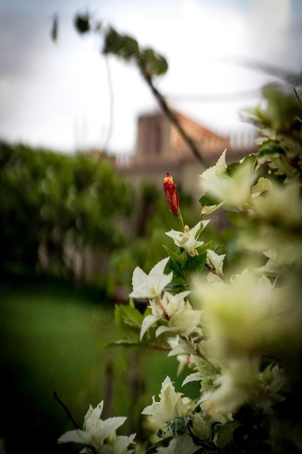 Mvt Guesthouse & Restaurant Vrindavan Bagian luar foto